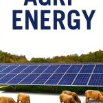 Island Press Energy Policy Kindle eBook 275 Pages Agriculture-0