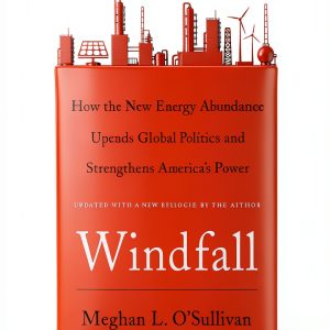 Energy Policy Book by Simon & Schuster-0