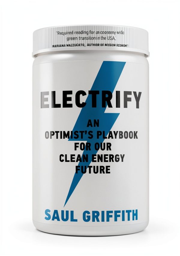 Energy Policy Book by The MIT Press-0