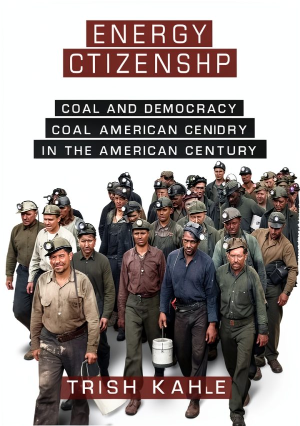 Energy Policy Insights by Columbia University Press-0