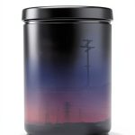 Energy Policy Book by The MIT Press – 336‑Page Hardcover Edition-0