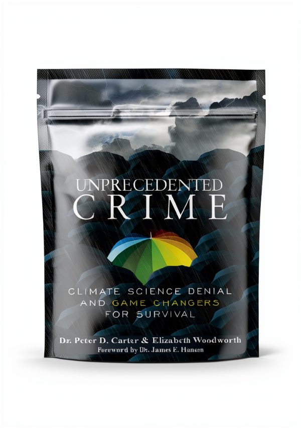 Energy Policy Kindle eBook by Clarity Press – 271 Pages Enhanced-0