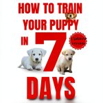 Puppetry Crafting Guide for Dog Training-0