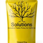 Energy Policy Insights for Urban Planning and Development-0