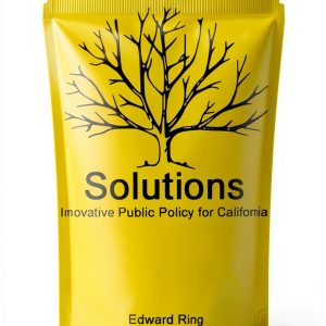 Energy Policy Insights for Urban Planning and Development-0