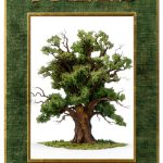 Childrens Botany Kindle eBook by Amazon – Print Replica, Grade 1‑12-0